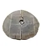 Plaster Dębowy 89x77x8cm Dąb po suszarni