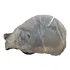 Plaster Dębowy 100x70x8cm Dąb po suszarni