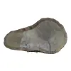 Plaster Dębowy 43x26x3cm Dąb po suszarni
