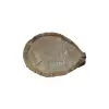 Plaster Dębowy 35x26x3cm Dąb po suszarni