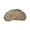 Plaster Dębowy 39x19x3cm Dąb po suszarni
