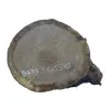 Plaster Dębowy 26x23x3cm Dąb po suszarni
