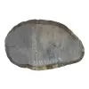 Plaster Dębowy 49x31x4cm Dąb po suszarni