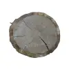 Plaster Dębowy 34x30x3cm Dąb po suszarni
