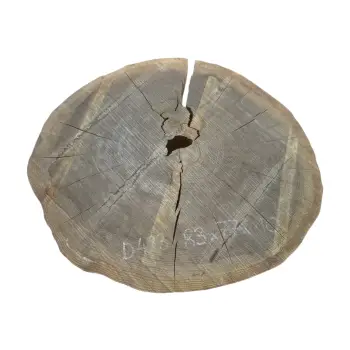 Plaster Dębowy 83x77x10cm Dąb po suszarni