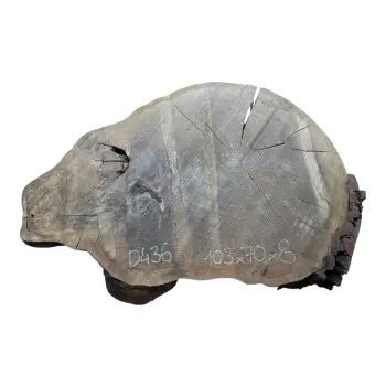 Plaster Dębowy 103x70x8cm Dąb po suszarni