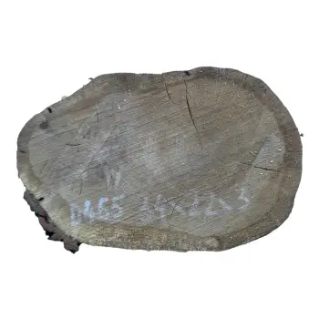 Plaster Dębowy 34x22x3cm Dąb po suszarni