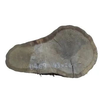 Plaster Dębowy 43x26x3cm Dąb po suszarni