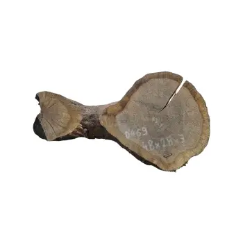 Plaster Dębowy 48x28x3cm Dąb po suszarni