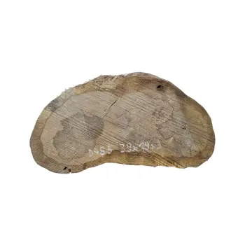 Plaster Dębowy 39x19x3cm Dąb po suszarni