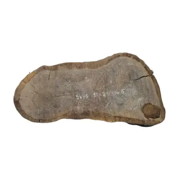 Plaster Dębowy 59x31x6cm Dąb po suszarni