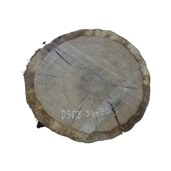 Plaster Dębowy 34x31x3cm Dąb po suszarni
