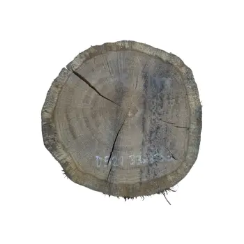 Plaster Dębowy 33x32x3cm Dąb po suszarni