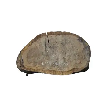 Plaster Dębowy 49x31x7cm Dąb po suszarni
