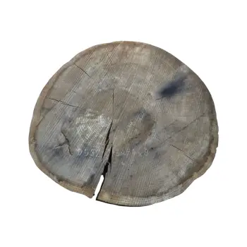Plaster Dębowy 73x74x9cm Dąb po suszarni
