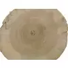Plaster Topoli 43x41cm