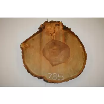 Plaster Kasztana 52x52 cm