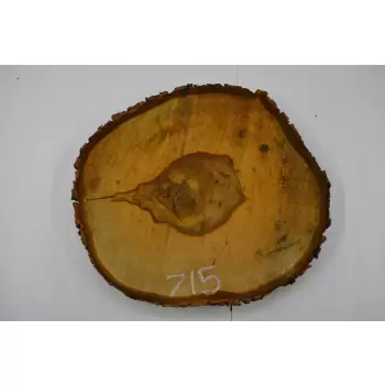 Plaster Kasztana 47x41 cm
