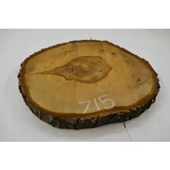 Plaster Kasztana 47x41 cm