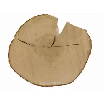 Plaster Jesionowy 59x52 cm