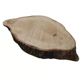 Plaster Jesionowy 54x37cm