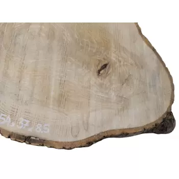 Plaster Jesionowy 54x37cm