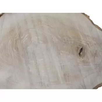 Plaster Jesionowy 54x37cm