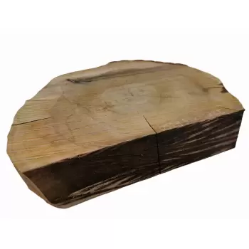 Plaster Orzecha Włoskiego 52x42cm