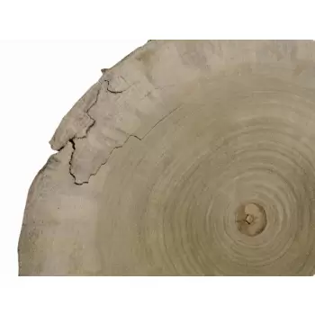 Plaster Topoli 43x41cm