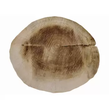 Plaster Topoli 63x60cm