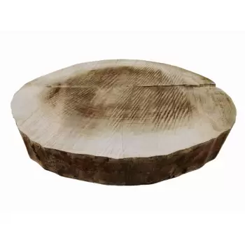 Plaster Topoli 63x60cm