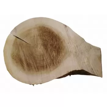 Plaster Topoli 71x50cm