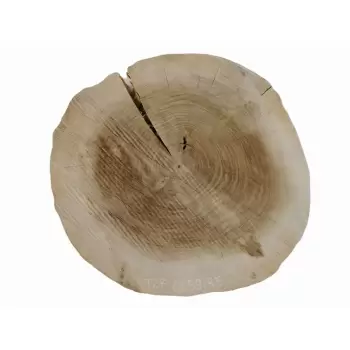 Plaster Topoli 61x59cm