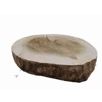 Plaster Topoli 61x59cm