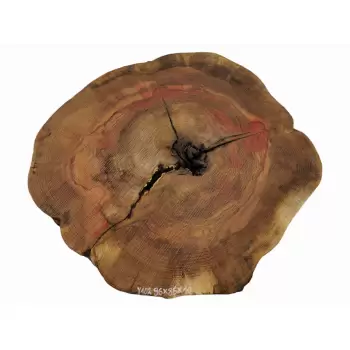 Plaster Jesionowy 96x85 cm