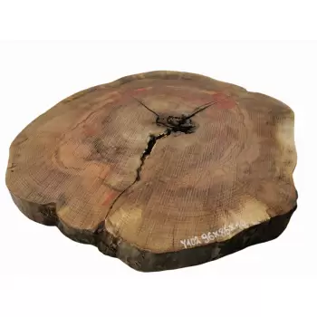 Plaster Jesionowy 96x85 cm