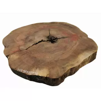 Plaster Jesionowy 96x85 cm