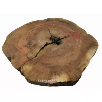 Plaster Jesionowy 96x85 cm