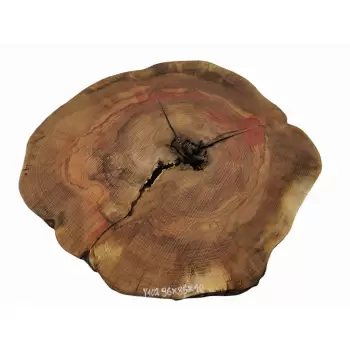 Plaster Jesionowy 96x85 cm