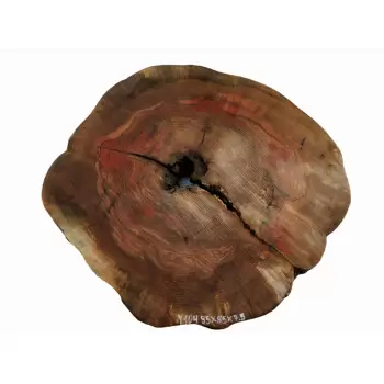 Plaster Jesionowy 95x85 cm