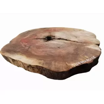 Plaster Jesionowy 95x85 cm