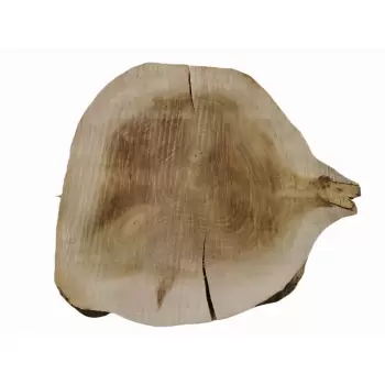 Plaster Topoli 71x65cm