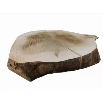 Plaster Topoli 71x65cm