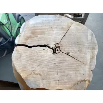 Plaster Jesionowy 96x85 cm