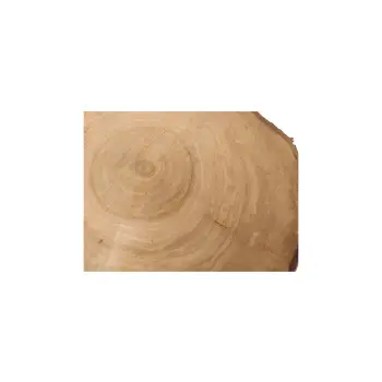 Plaster Czereśni 42x41x4cm