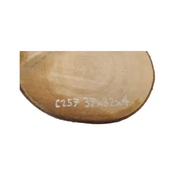 Plaster Czereśni 37x32x4cm