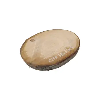 Plaster Czereśni 38x32x4cm