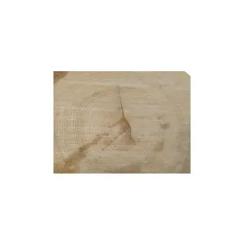 Plaster Czereśni 37x32x4cm