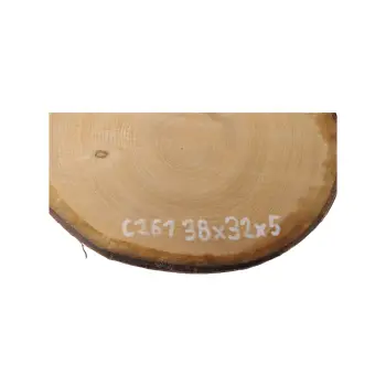 Plaster Czereśni 38x32x5cm