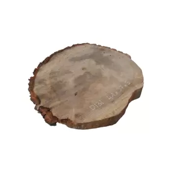 Plaster Dębowy 41x37x5cm Dąb